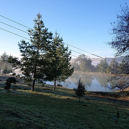 Cabanas Tapalpa Sierra Del Tecuan, Cabana Conejo エクステリア 写真