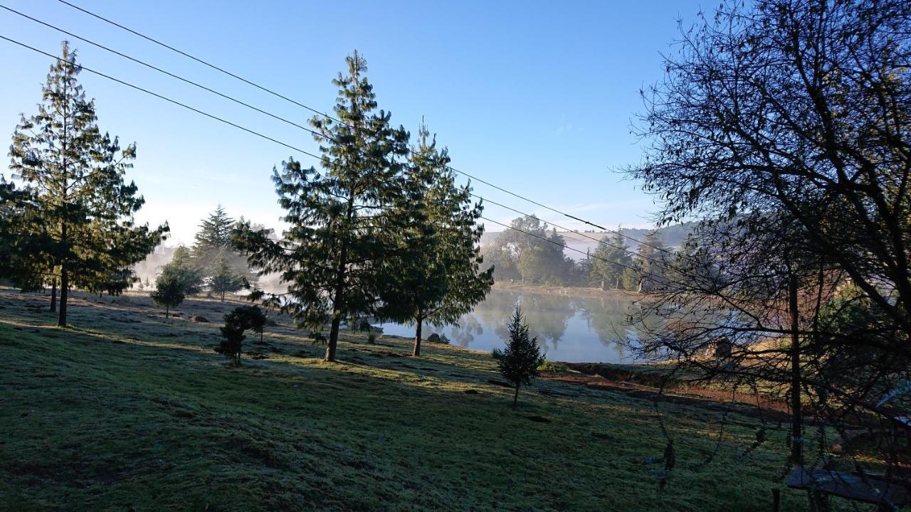 Cabanas Tapalpa Sierra Del Tecuan, Cabana Conejo エクステリア 写真