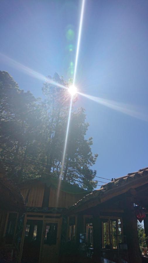 Cabanas Tapalpa Sierra Del Tecuan, Cabana Conejo エクステリア 写真