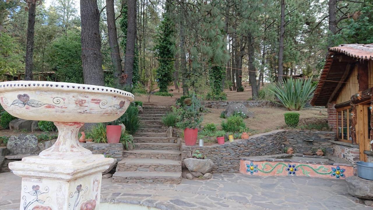 Cabanas Tapalpa Sierra Del Tecuan, Cabana Conejo エクステリア 写真