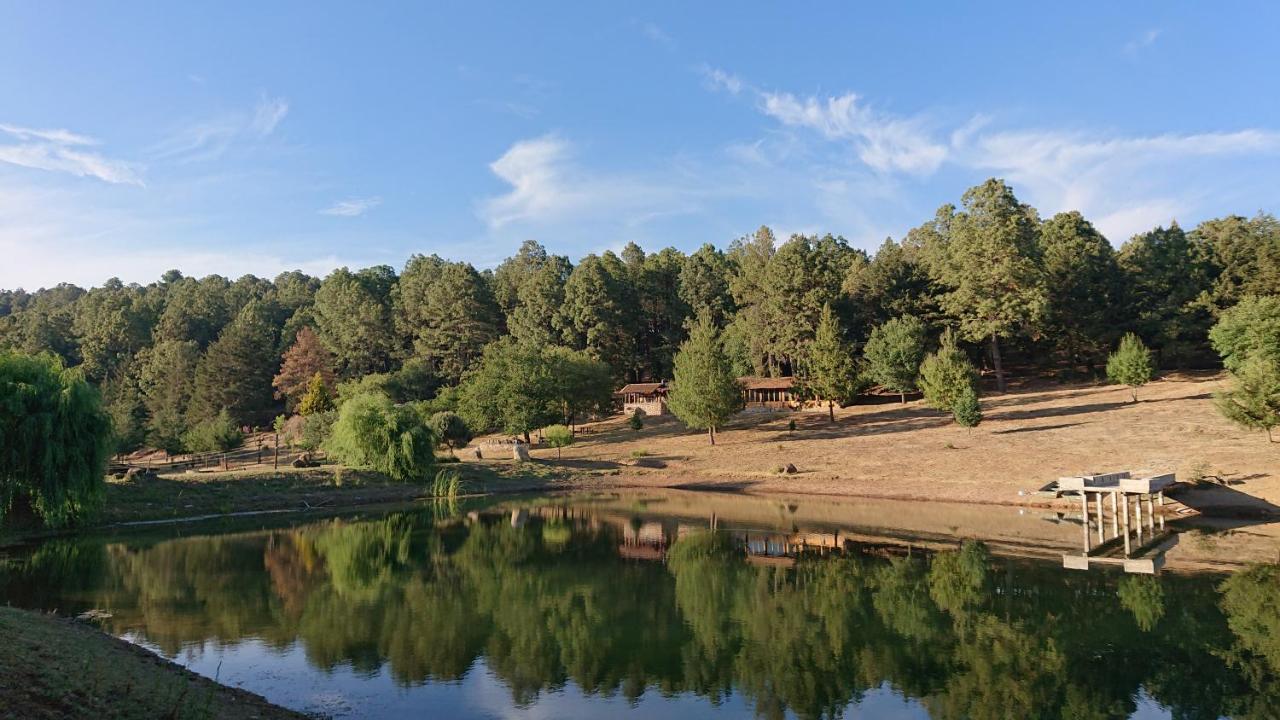 Cabanas Tapalpa Sierra Del Tecuan, Cabana Conejo エクステリア 写真